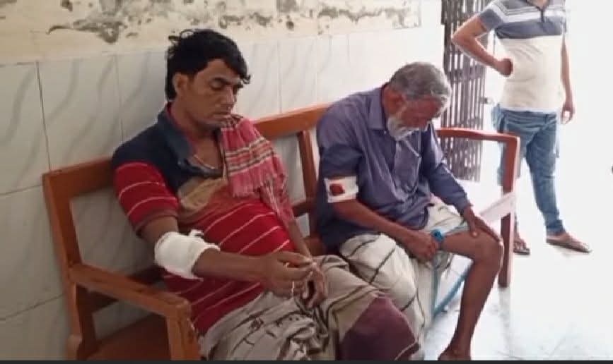 ঈশ্বরদীতে ৮ কৃষককে পিটিয়ে আহত, দুই গরু জবাই করে পিকনিক।