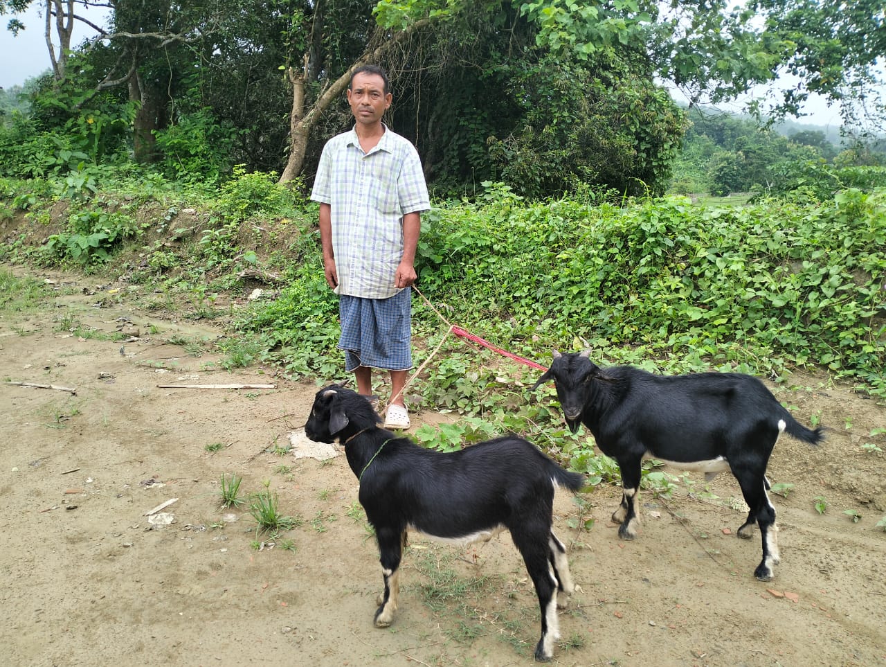 সীমান্তে ভারতীয় নাগরিক আটক, সঙ্গে দুটি পাঠা ছাগল উদ্ধার ।