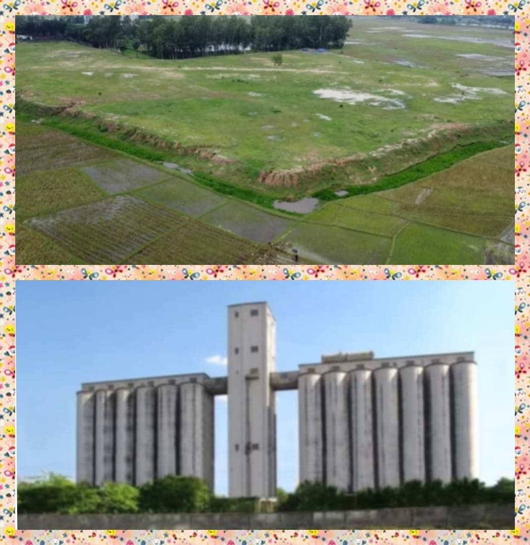 নওগাঁর মহাদেবপুর উপজেলায় আধুনিক সাইলোর ঠিকাদার উধাও সাইলো নির্মাণের জায়গায় ফলজ গাছ লাগানো উগ্যোগ ।