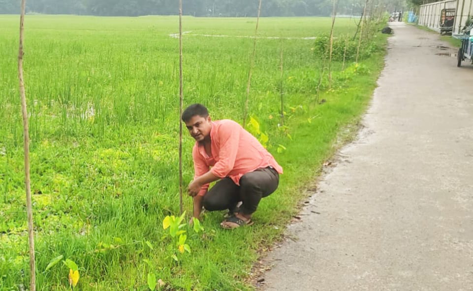 “ভলান্টিয়ার ফর সেনবাগ” কাদরা টু গোরকাটায় বৃক্ষরোপন অনুষ্ঠিত ‎।