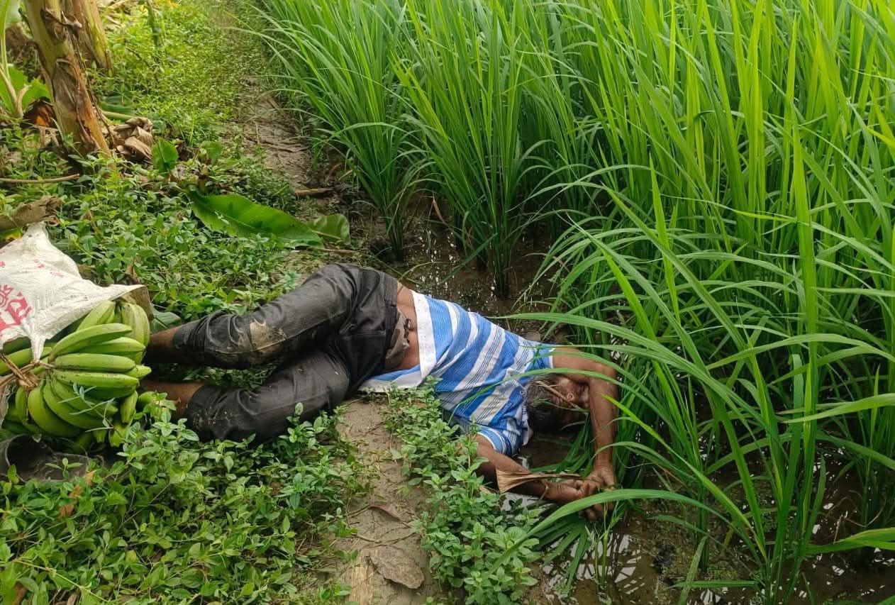ঈশ্বরদী একটি ধান ক্ষেত থেকে এক ব্যক্তির লাশ উদ্ধার